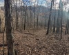 TBD Keller Hill Road, Belington, West Virginia 26260, ,Lots/land,For Sale,Keller Hill,10157596