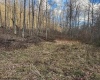 TBD Keller Hill Road, Belington, West Virginia 26260, ,Lots/land,For Sale,Keller Hill,10157596