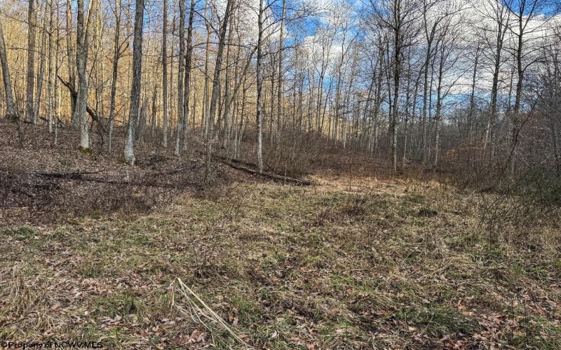 TBD Keller Hill Road, Belington, West Virginia 26260, ,Lots/land,For Sale,Keller Hill,10157596