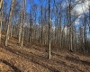 TBD Keller Hill Road, Belington, West Virginia 26260, ,Lots/land,For Sale,Keller Hill,10157596