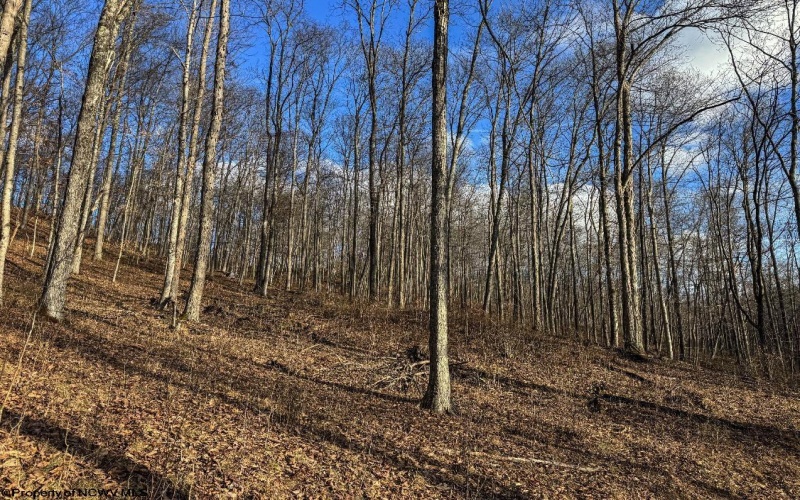 TBD Keller Hill Road, Belington, West Virginia 26260, ,Lots/land,For Sale,Keller Hill,10157596