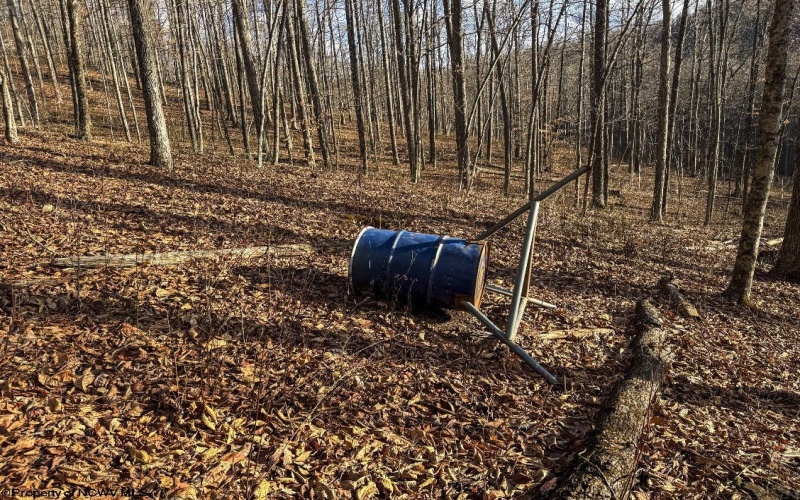 TBD Keller Hill Road, Belington, West Virginia 26260, ,Lots/land,For Sale,Keller Hill,10157596