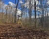 TBD Keller Hill Road, Belington, West Virginia 26260, ,Lots/land,For Sale,Keller Hill,10157596
