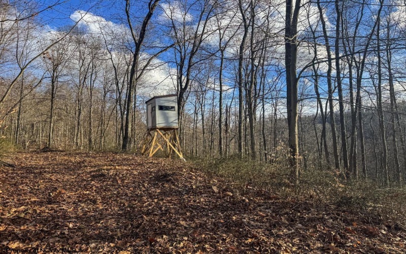 TBD Keller Hill Road, Belington, West Virginia 26260, ,Lots/land,For Sale,Keller Hill,10157596