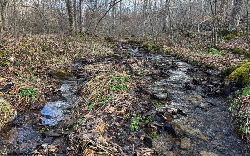 TBD Keller Hill Road, Belington, West Virginia 26260, ,Lots/land,For Sale,Keller Hill,10157596