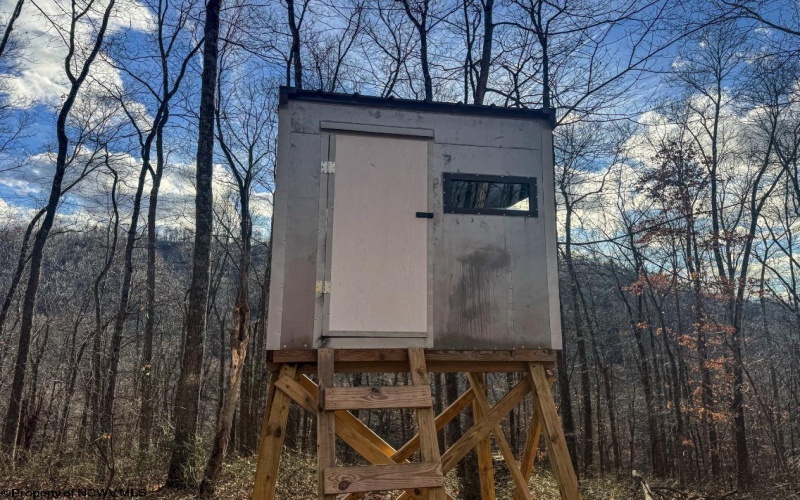 TBD Keller Hill Road, Belington, West Virginia 26260, ,Lots/land,For Sale,Keller Hill,10157596