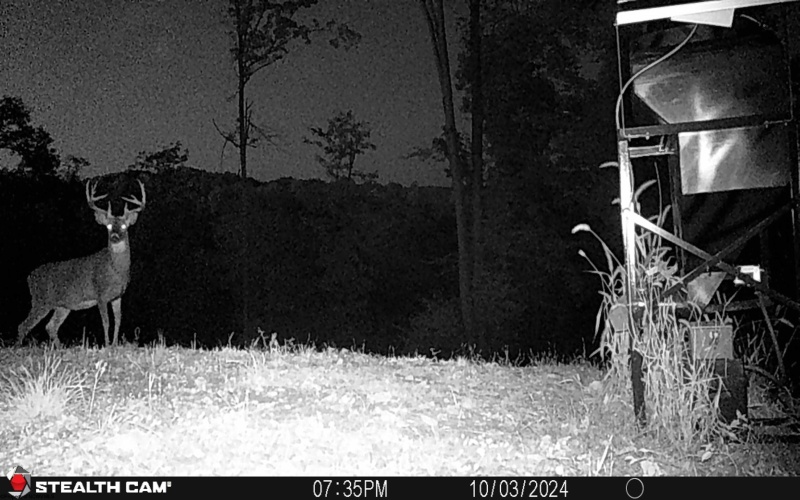 TBD Keller Hill Road, Belington, West Virginia 26260, ,Lots/land,For Sale,Keller Hill,10157596