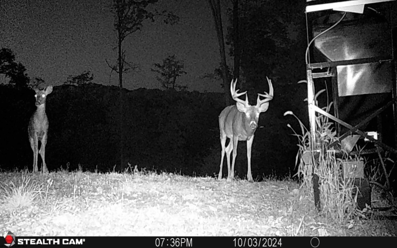 TBD Keller Hill Road, Belington, West Virginia 26260, ,Lots/land,For Sale,Keller Hill,10157596