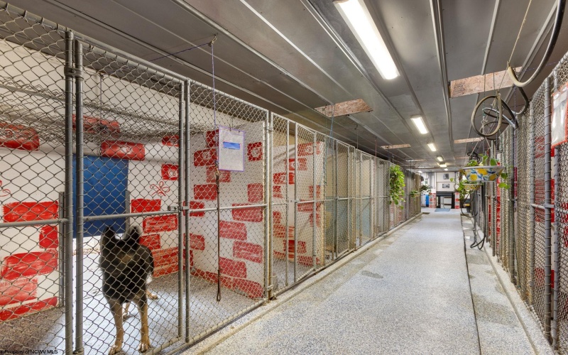 611 Mount Liberty Road, Philippi, West Virginia 26416, ,Multi-unit/income,For Sale,Mount Liberty,10162570