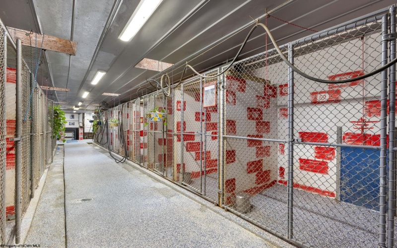 611 Mount Liberty Road, Philippi, West Virginia 26416, ,Multi-unit/income,For Sale,Mount Liberty,10162570