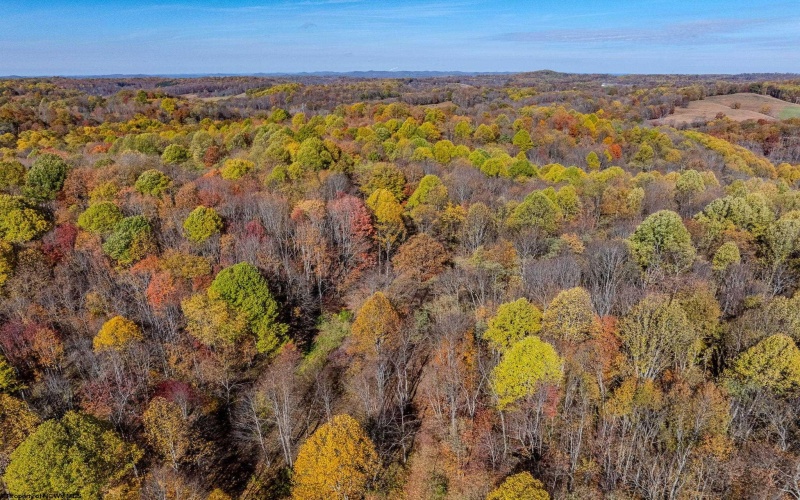 611 Mount Liberty Road, Philippi, West Virginia 26416, ,Multi-unit/income,For Sale,Mount Liberty,10162570