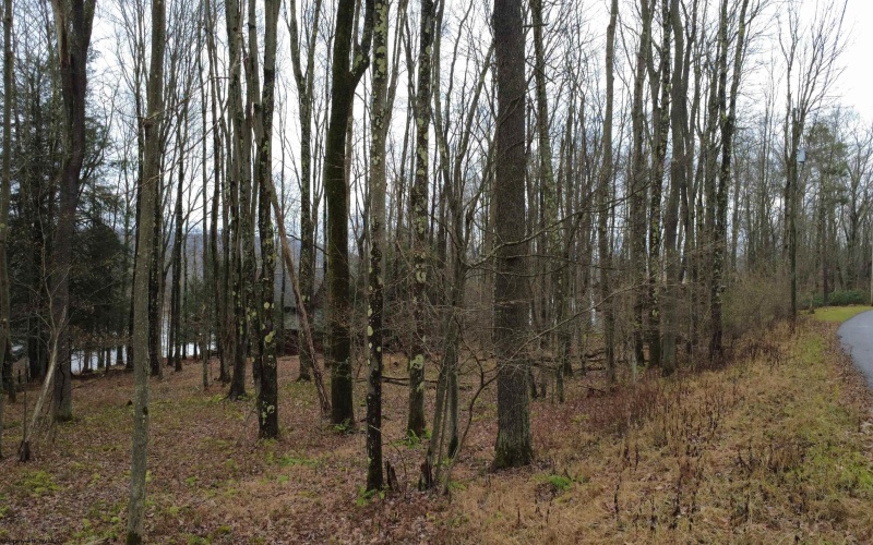 175 Laurel Circle, Terra Alta, West Virginia 26764, ,Lots/land,For Sale,Laurel,10162572