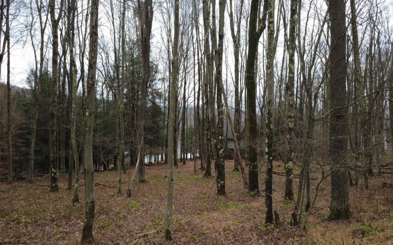 175 Laurel Circle, Terra Alta, West Virginia 26764, ,Lots/land,For Sale,Laurel,10162572