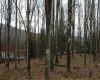 175 Laurel Circle, Terra Alta, West Virginia 26764, ,Lots/land,For Sale,Laurel,10162572