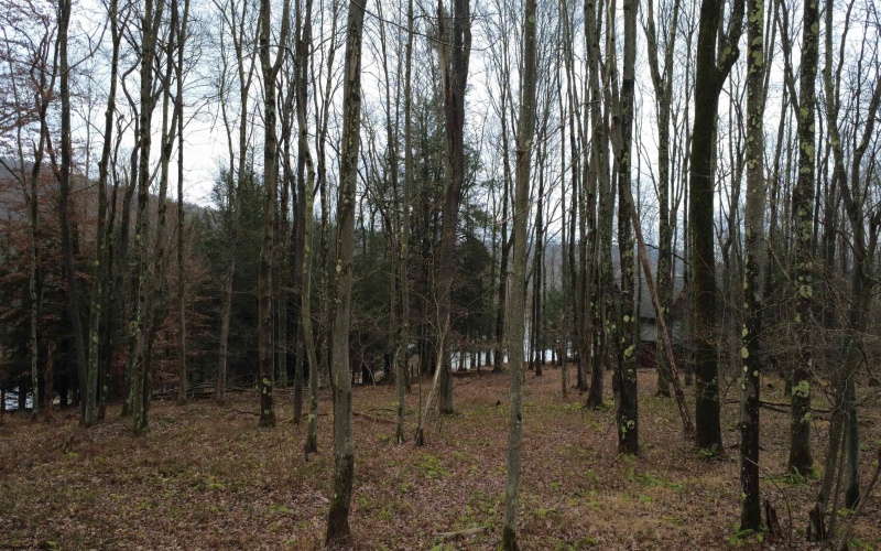 175 Laurel Circle, Terra Alta, West Virginia 26764, ,Lots/land,For Sale,Laurel,10162572