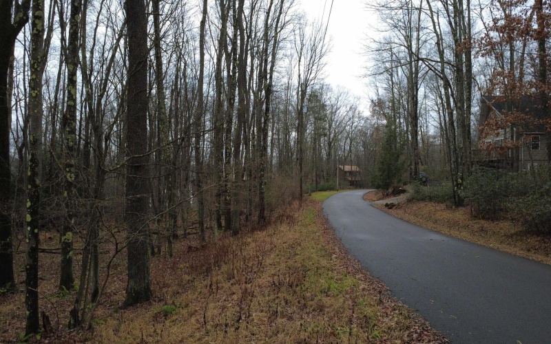 176 Laurel Circle, Terra Alta, West Virginia 26764, ,Lots/land,For Sale,Laurel,10162573