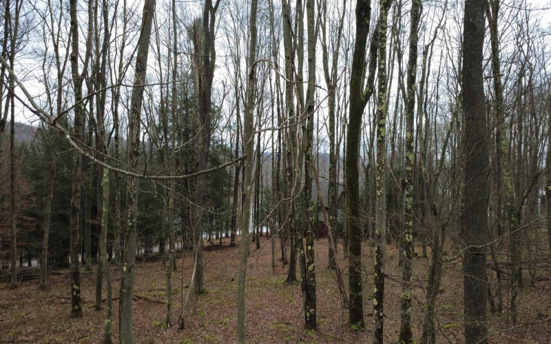 176 Laurel Circle, Terra Alta, West Virginia 26764, ,Lots/land,For Sale,Laurel,10162573