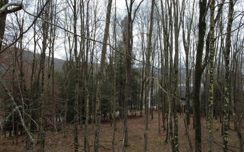 176 Laurel Circle, Terra Alta, West Virginia 26764, ,Lots/land,For Sale,Laurel,10162573