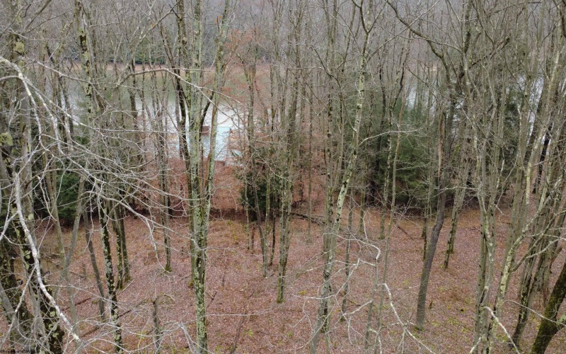 176 Laurel Circle, Terra Alta, West Virginia 26764, ,Lots/land,For Sale,Laurel,10162573
