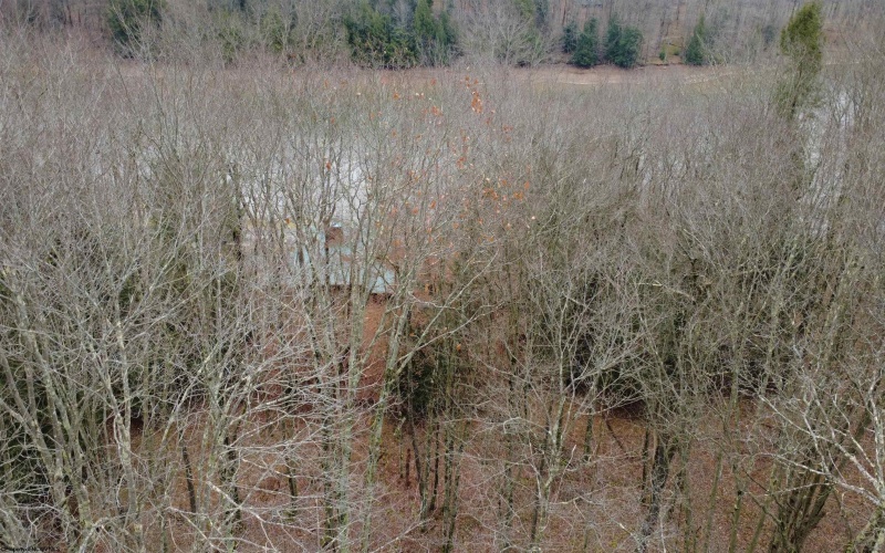 176 Laurel Circle, Terra Alta, West Virginia 26764, ,Lots/land,For Sale,Laurel,10162573