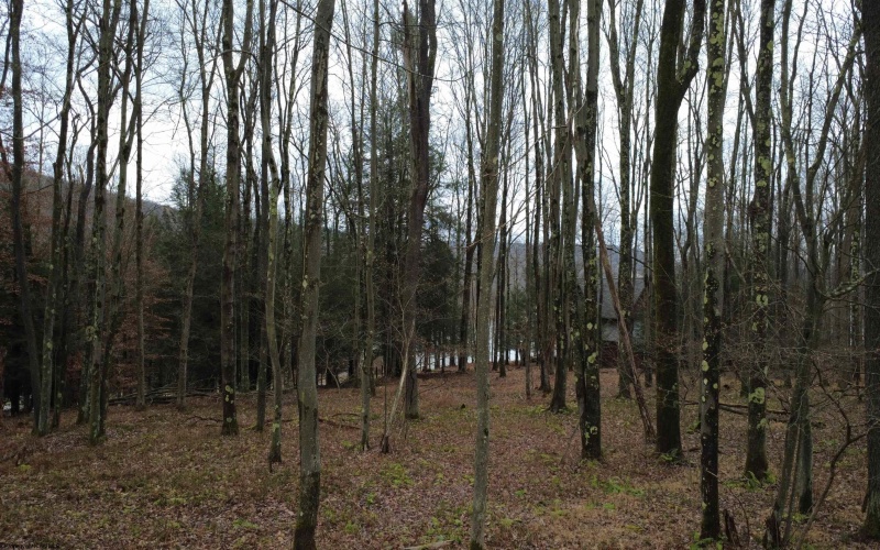 176 Laurel Circle, Terra Alta, West Virginia 26764, ,Lots/land,For Sale,Laurel,10162573