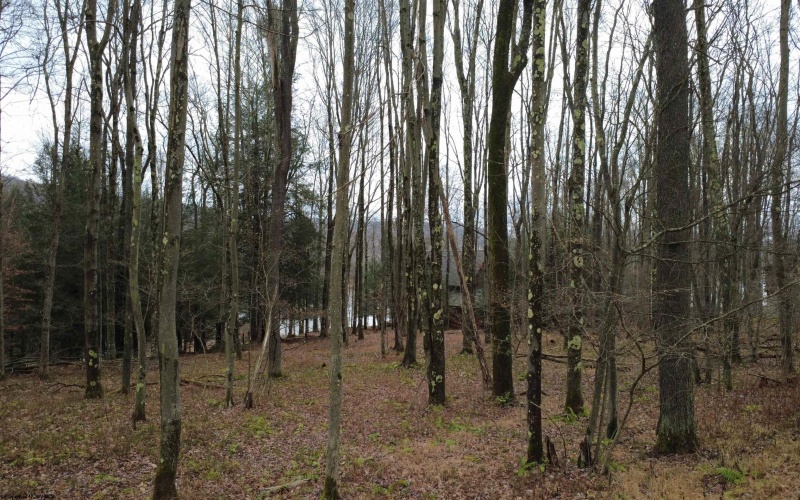 176 Laurel Circle, Terra Alta, West Virginia 26764, ,Lots/land,For Sale,Laurel,10162573