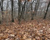 TBD Cassville Mt. Morris Road, Morgantown, West Virginia 26508, ,Lots/land,For Sale,Cassville Mt. Morris,10162585