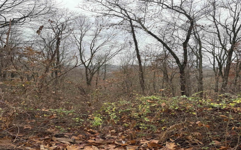 TBD Cassville Mt. Morris Road, Morgantown, West Virginia 26508, ,Lots/land,For Sale,Cassville Mt. Morris,10162585