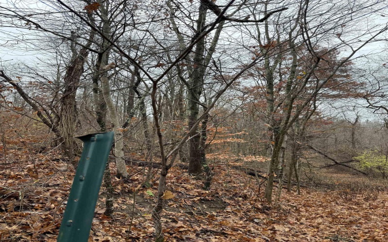 TBD Cassville Mt. Morris Road, Morgantown, West Virginia 26508, ,Lots/land,For Sale,Cassville Mt. Morris,10162585