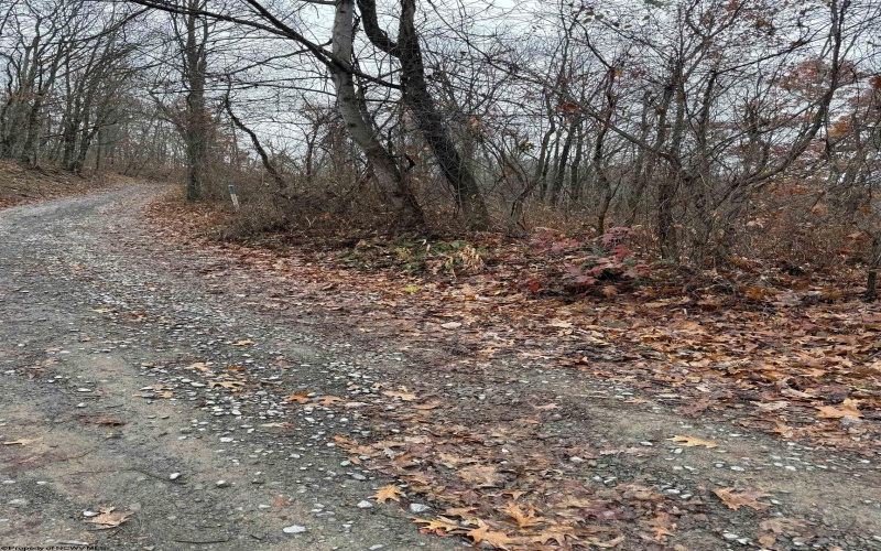 TBD Cassville Mt. Morris Road, Morgantown, West Virginia 26508, ,Lots/land,For Sale,Cassville Mt. Morris,10162585