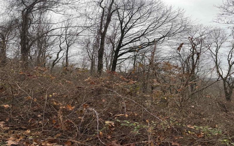 TBD Cassville Mt. Morris Road, Morgantown, West Virginia 26508, ,Lots/land,For Sale,Cassville Mt. Morris,10162585