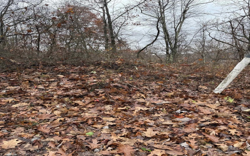 TBD Cassville Mt. Morris Road, Morgantown, West Virginia 26508, ,Lots/land,For Sale,Cassville Mt. Morris,10162585