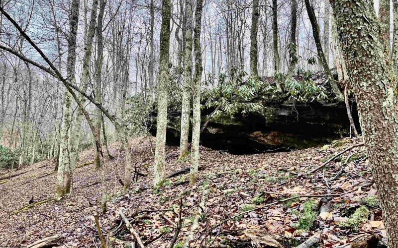 9179 Alexander Road, French Creek, West Virginia 26218, 3 Bedrooms Bedrooms, 6 Rooms Rooms,2 BathroomsBathrooms,Single Family Detached,For Sale,Alexander,10162607