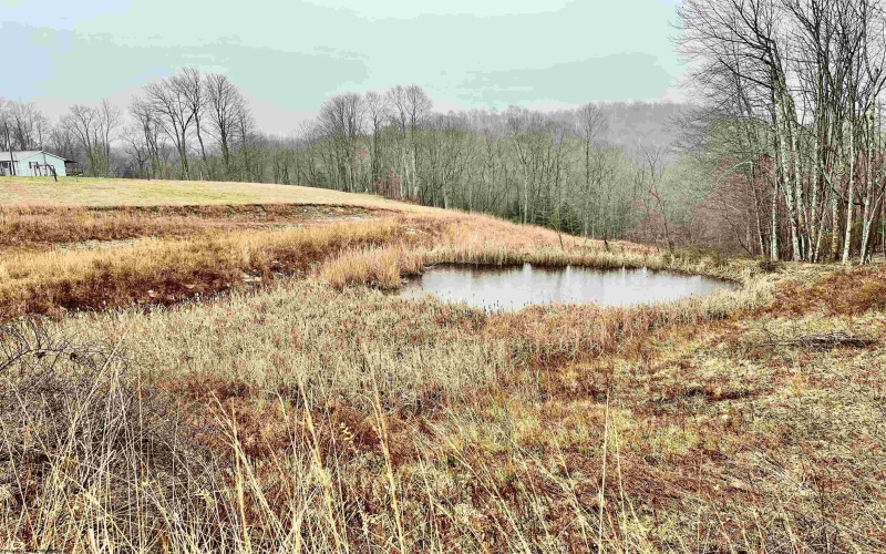 9179 Alexander Road, French Creek, West Virginia 26218, 3 Bedrooms Bedrooms, 6 Rooms Rooms,2 BathroomsBathrooms,Single Family Detached,For Sale,Alexander,10162607