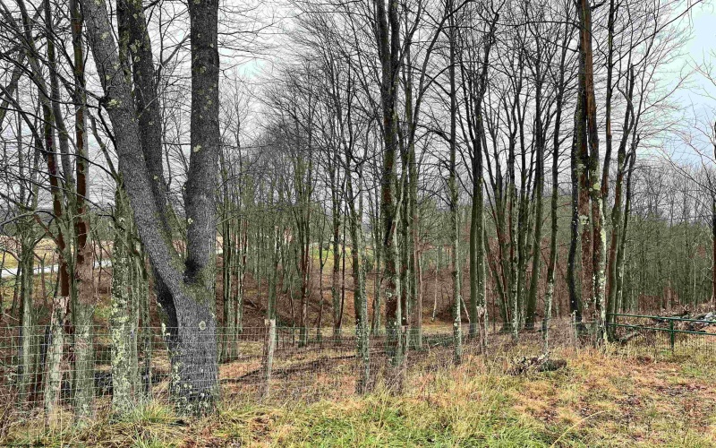 9179 Alexander Road, French Creek, West Virginia 26218, 3 Bedrooms Bedrooms, 6 Rooms Rooms,2 BathroomsBathrooms,Single Family Detached,For Sale,Alexander,10162607