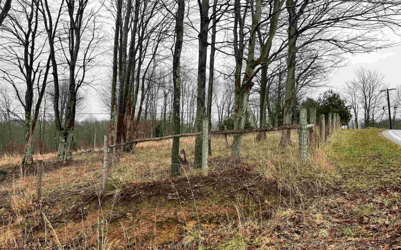 9179 Alexander Road, French Creek, West Virginia 26218, 3 Bedrooms Bedrooms, 6 Rooms Rooms,2 BathroomsBathrooms,Single Family Detached,For Sale,Alexander,10162607