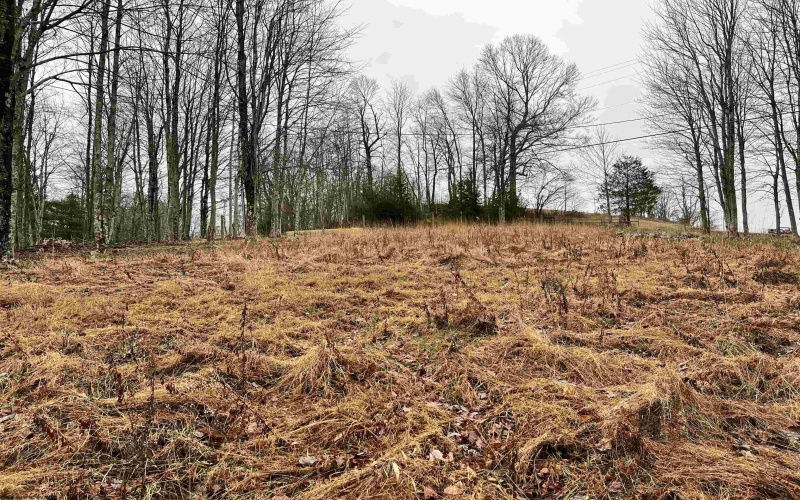 9179 Alexander Road, French Creek, West Virginia 26218, 3 Bedrooms Bedrooms, 6 Rooms Rooms,2 BathroomsBathrooms,Single Family Detached,For Sale,Alexander,10162607