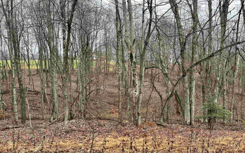 9179 Alexander Road, French Creek, West Virginia 26218, 3 Bedrooms Bedrooms, 6 Rooms Rooms,2 BathroomsBathrooms,Single Family Detached,For Sale,Alexander,10162607