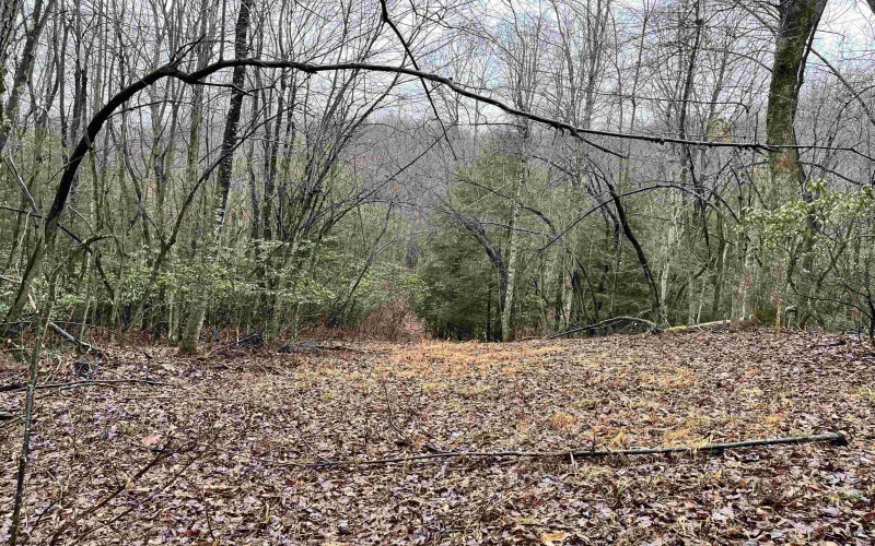 9179 Alexander Road, French Creek, West Virginia 26218, 3 Bedrooms Bedrooms, 6 Rooms Rooms,2 BathroomsBathrooms,Single Family Detached,For Sale,Alexander,10162607