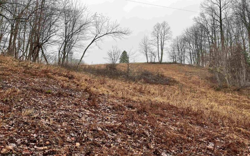 9179 Alexander Road, French Creek, West Virginia 26218, 3 Bedrooms Bedrooms, 6 Rooms Rooms,2 BathroomsBathrooms,Single Family Detached,For Sale,Alexander,10162607