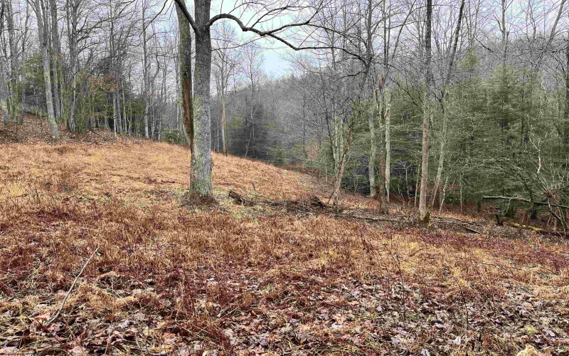 9179 Alexander Road, French Creek, West Virginia 26218, 3 Bedrooms Bedrooms, 6 Rooms Rooms,2 BathroomsBathrooms,Single Family Detached,For Sale,Alexander,10162607