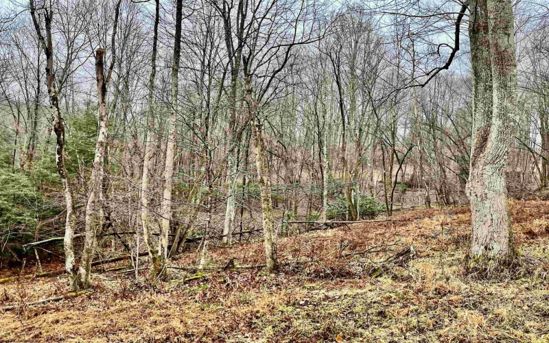 9179 Alexander Road, French Creek, West Virginia 26218, 3 Bedrooms Bedrooms, 6 Rooms Rooms,2 BathroomsBathrooms,Single Family Detached,For Sale,Alexander,10162607