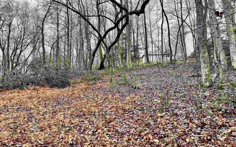 9179 Alexander Road, French Creek, West Virginia 26218, 3 Bedrooms Bedrooms, 6 Rooms Rooms,2 BathroomsBathrooms,Single Family Detached,For Sale,Alexander,10162607