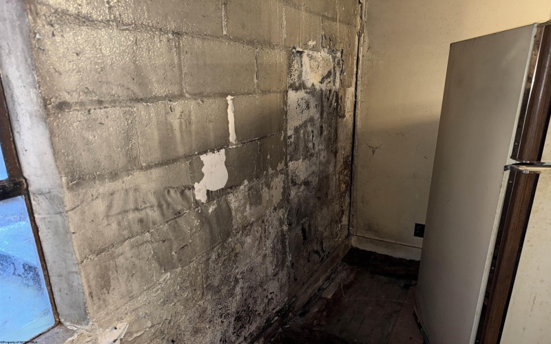 25170 Seneca Trail, Valley Head, West Virginia 26294, 3 Bedrooms Bedrooms, 9 Rooms Rooms,1 BathroomBathrooms,Single Family Detached,For Sale,Seneca,10162600 25170 Seneca Trail, Valley Head, West Virginia 26294, 3 Bedrooms Bedrooms, 9 Rooms Rooms,1 BathroomBathrooms,Single Family Detached,For Sale,Seneca,10162600