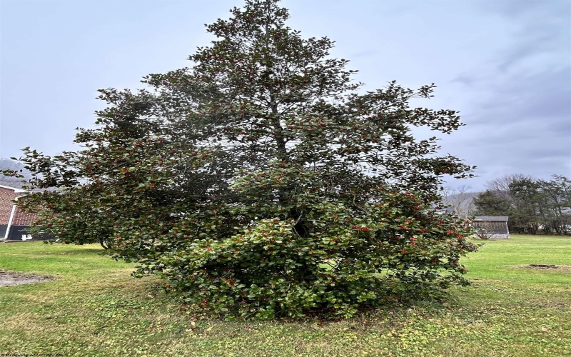 201 Third Street, Parsons, West Virginia 26287, 3 Bedrooms Bedrooms, 9 Rooms Rooms,1 BathroomBathrooms,Single Family Detached,For Sale,Third,10162608