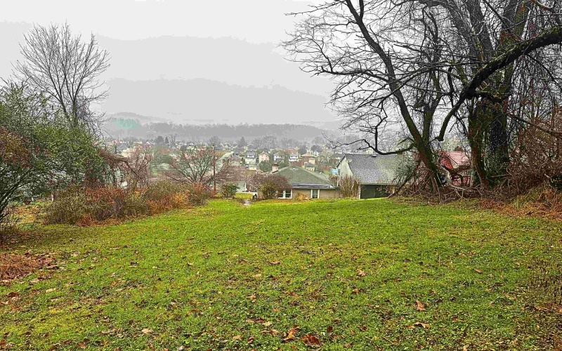 607 Palatine Avenue, Fairmont, West Virginia 26554, 2 Bedrooms Bedrooms, 4 Rooms Rooms,1 BathroomBathrooms,Single Family Detached,For Sale,Palatine,10162609