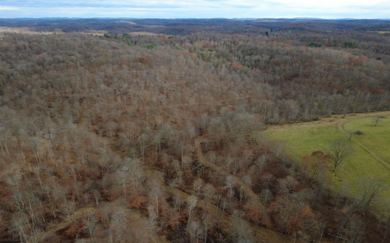 9505 Route 20 South Road, French Creek, West Virginia 26218-9999, ,Lots/land,For Sale,Route 20 South,10162616