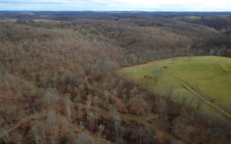 9505 Route 20 South Road, French Creek, West Virginia 26218-9999, ,Lots/land,For Sale,Route 20 South,10162616