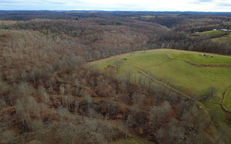 9505 Route 20 South Road, French Creek, West Virginia 26218-9999, ,Lots/land,For Sale,Route 20 South,10162616