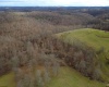 9505 Route 20 South Road, French Creek, West Virginia 26218-9999, ,Lots/land,For Sale,Route 20 South,10162616